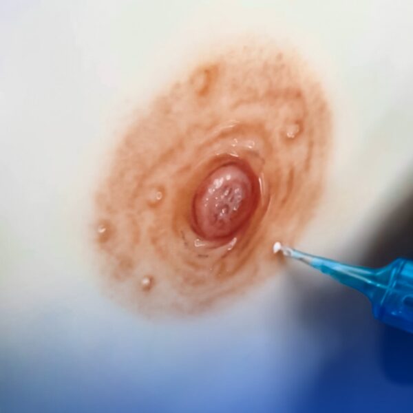 Realistic Areola